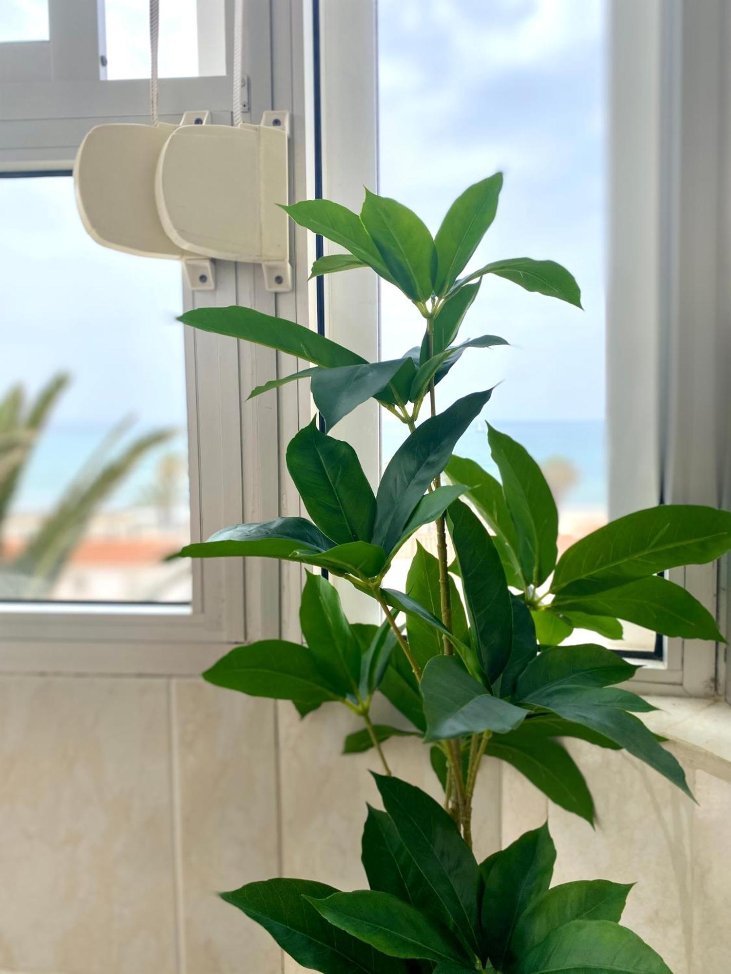 Apartamento Luz Del Mar Torrox Buitenkant foto